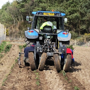 Mechanical tree planting