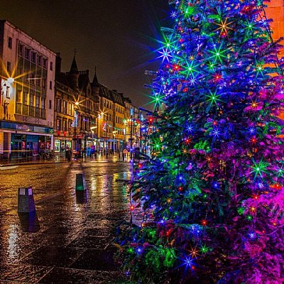 Inverness townhouse tree supplied by Sylvestrus